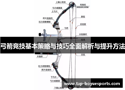弓箭竞技基本策略与技巧全面解析与提升方法