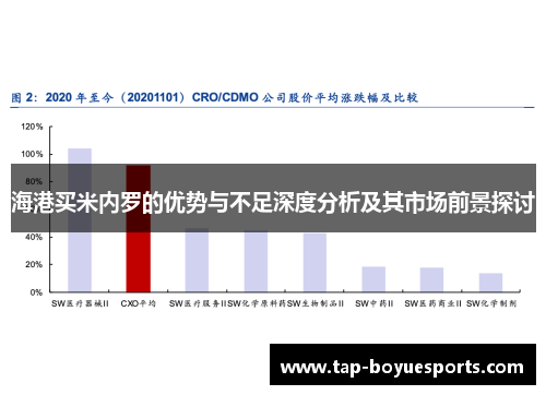 海港买米内罗的优势与不足深度分析及其市场前景探讨 海港买米内罗的优势与不足深度分析及其市场前景探讨
