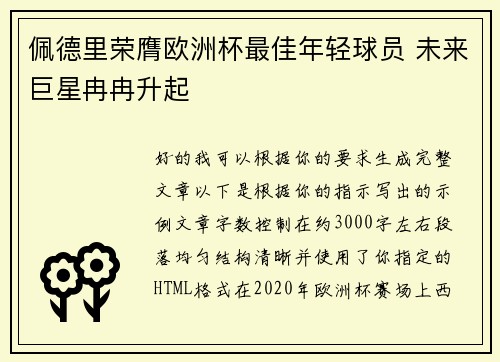 佩德里荣膺欧洲杯最佳年轻球员 未来巨星冉冉升起